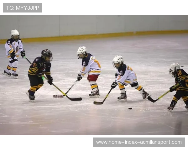 冰球联赛扩大青少年发展基金支持基层俱乐部